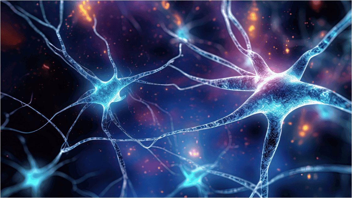 畳み込みニューラルネットワーク（CNN）とは